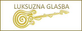 LUKSUZNA GLASBA,  trgovina z glasbili, d.o.o.